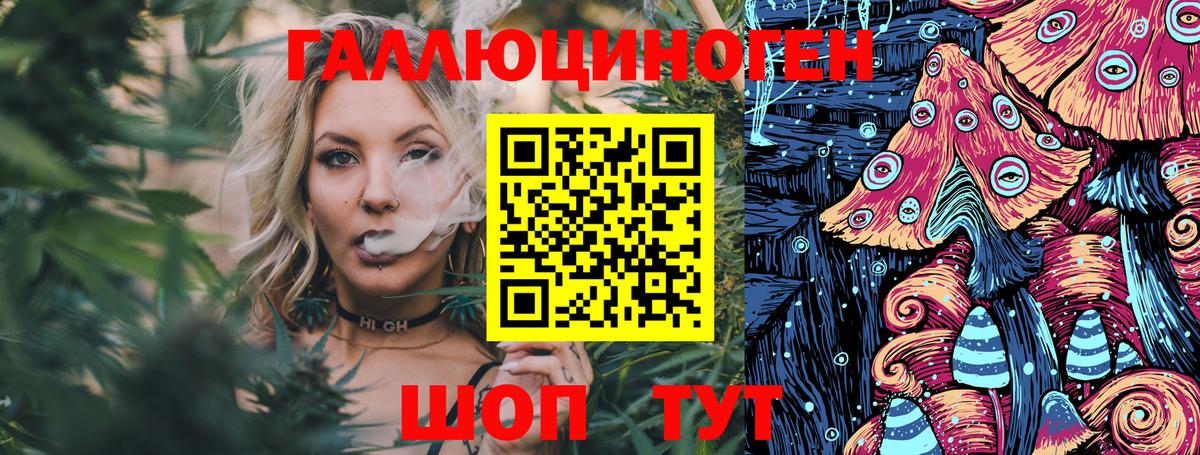 где купить наркоту  Псилоцибиновые грибы MAGIC MUSHROOMS  Вход с VPN  Коряжма 