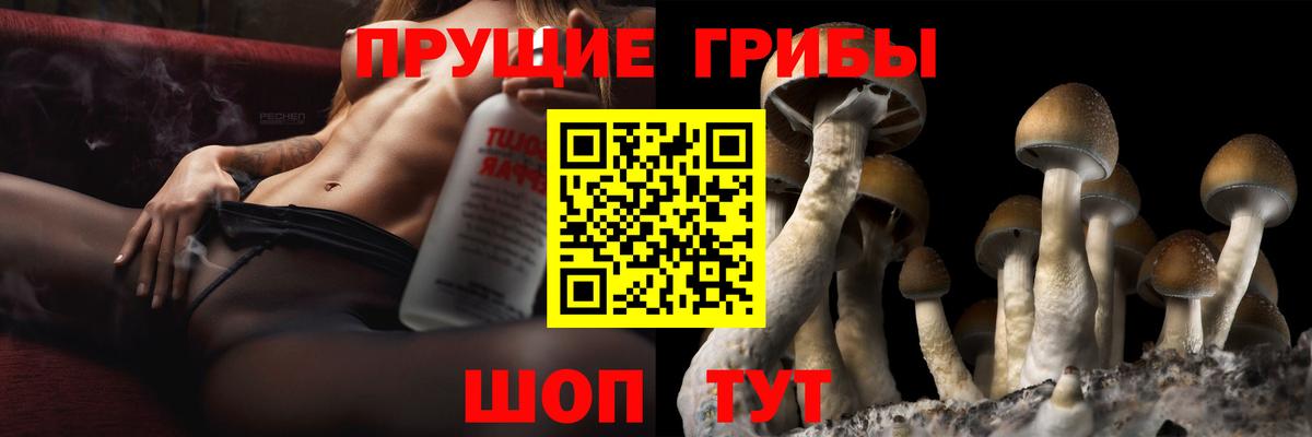 Галлюциногенные грибы мицелий Коряжма